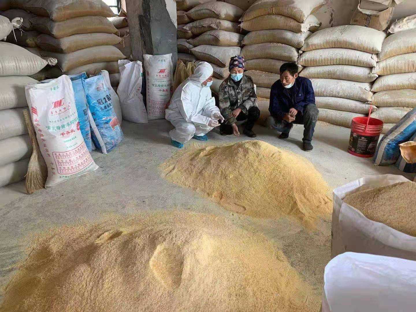 奮進紅興隆 | 唱響雁鄉(xiāng)新牧歌——聚焦畜牧業(yè)轉(zhuǎn)型升級的“八五三探索”與畜牧漁業(yè)飼料銷售