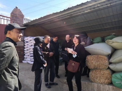 全國畜牧總站深入尋甸開展調(diào)研，共繪現(xiàn)代畜牧業(yè)與飼料銷售新藍(lán)圖